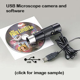 electronic eyepiece